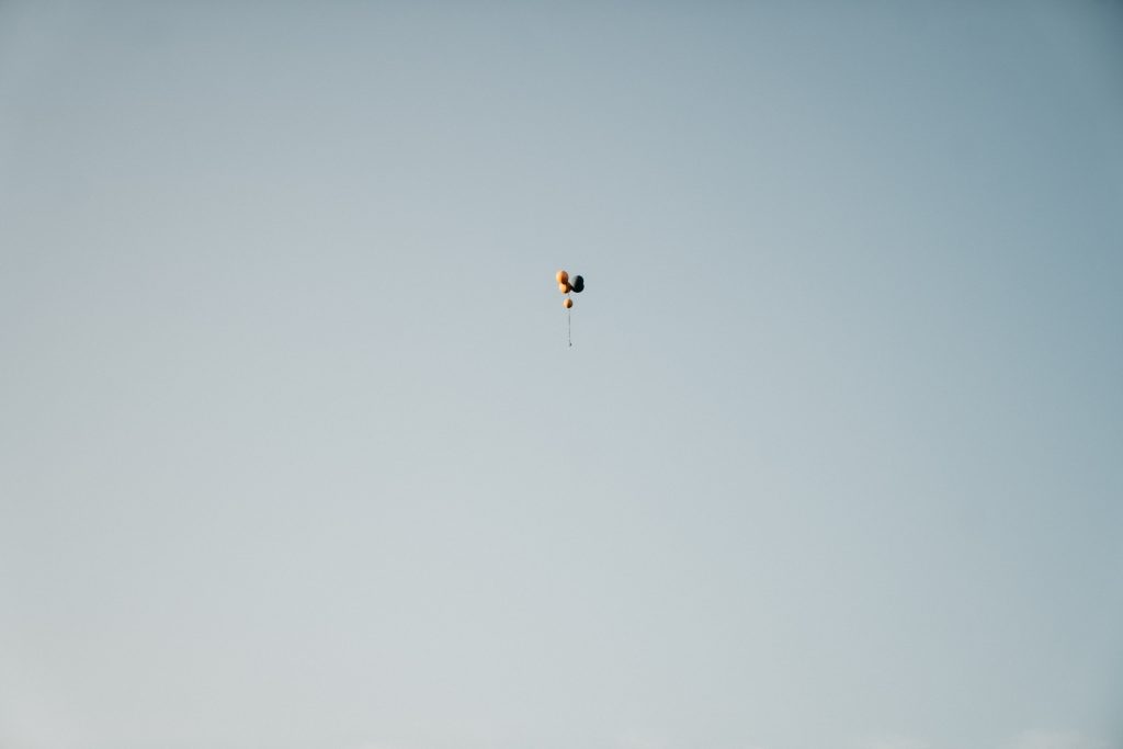 ladder-fest-2-19-min